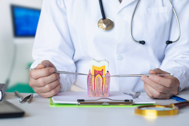 Best Emergency Dentist for Knocked-Out Tooth in Montz, LA